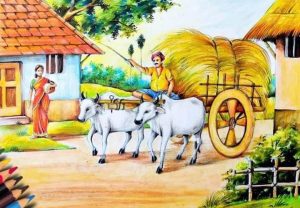 FB IMG 1732023910719