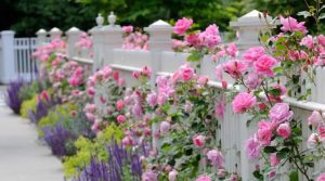 Learn English by reading stories 2 Learn English by reading stories